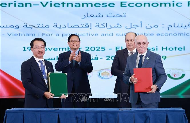Thủ tướng Phạm Minh Chính và Thủ tướng Algeria Sifi Ghrieb chứng kiến ký kết giữa các doanh nghiệp Việt Nam và Algeria. Ảnh: Dương Giang-TTXVN

