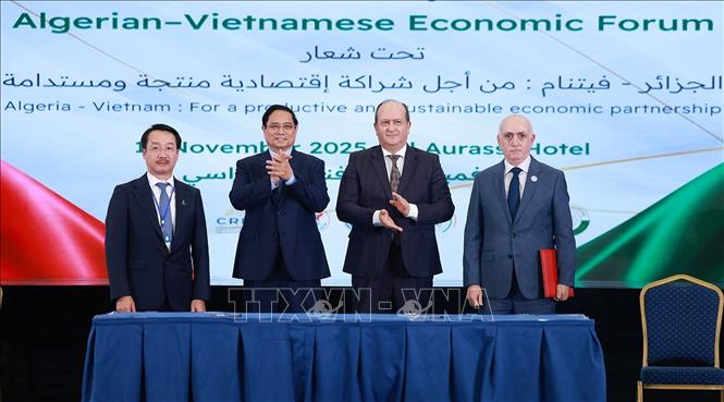 Thủ tướng Phạm Minh Chính và Thủ tướng Algeria Sifi Ghrieb chứng kiến ký kết giữa các doanh nghiệp Việt Nam và Algeria. Ảnh: Dương Giang-TTXVN
