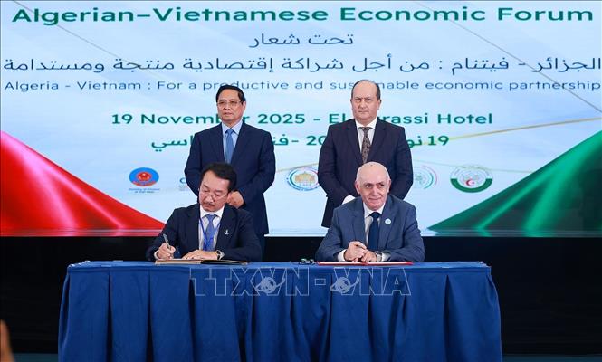 Thủ tướng Phạm Minh Chính và Thủ tướng Algeria Sifi Ghrieb chứng kiến ký kết giữa các doanh nghiệp Việt Nam và Algeria. Ảnh: Dương Giang-TTXVN
