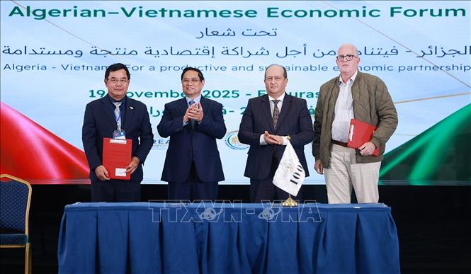 Thủ tướng Phạm Minh Chính và Thủ tướng Algeria Sifi Ghrieb chứng kiến ký kết giữa các doanh nghiệp Việt Nam và Algeria. Ảnh: Dương Giang-TTXVN
