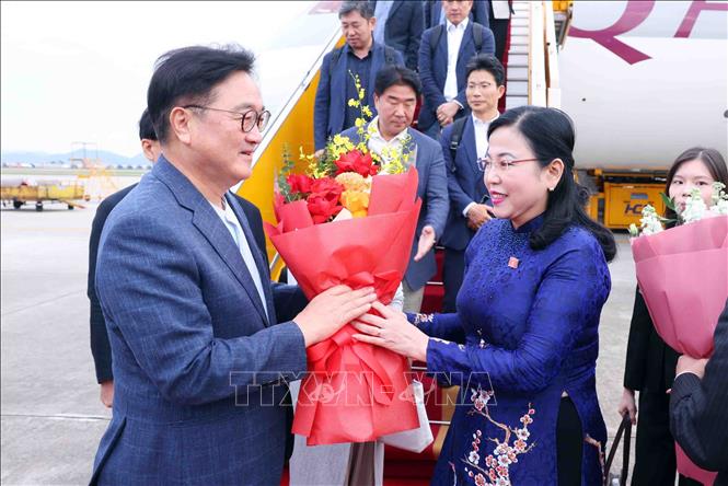 Chủ nhiệm Ủy ban Khoa học, Công nghệ và Môi trường của Quốc hội Nguyễn Thanh Hải đón Chủ tịch Quốc hội Hàn Quốc Woo Won Shik và Phu nhân tại sân bay Quốc tế Nội Bài. Ảnh: Phạm Kiên - TTXVN