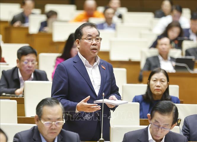 Đại biểu Quốc hội TP Hồ Chí Minh Nguyễn Quang Huân phát biểu. Ảnh: Doãn Tấn - TTXVN