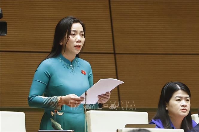 Đại biểu Quốc hội TP Cần Thơ Triệu Thị Ngọc Diễm phát biểu. Ảnh: Doãn Tấn - TTXVN