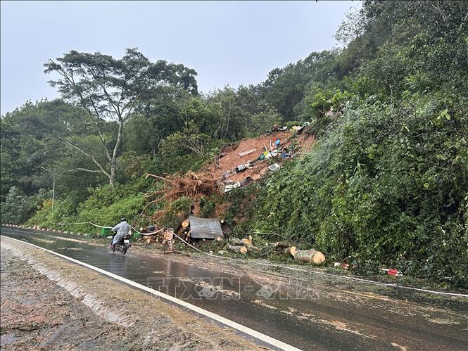 Nhiều vị trí trên đèo Mimosa bị sạt lở, cây cối đổ xuống mặt đường. Ảnh: Chu Quốc Hùng - TTXVN