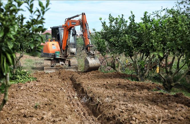 Anh Leo Văn Tươi ở xã Kiên Lao (tỉnh Bắc Ninh) cải tạo đất vườn để trồng cây ăn quả. Ảnh: Danh Lam -TTXVN