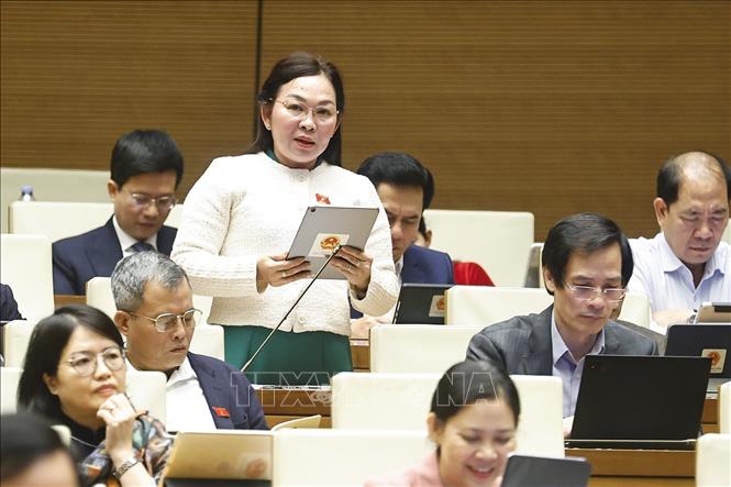 Đại biểu Quốc hội tỉnh An Giang Lý Anh Thư phát biểu. Ảnh: Doãn Tấn - TTXVN