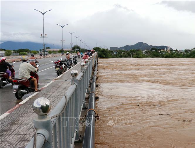 Lũ trên Sông Cái Phan Rang sáng 20/11/2025 cao trên mức động 3. Ảnh: Công Thử - TTXVN