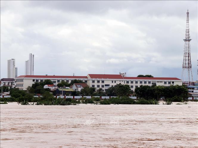 Nước lũ trên Sông Cái Phan Rang sáng 20/11 sắp tràn qua đê vào phường Phan Rang. Ảnh: Công Thử - TTXVN