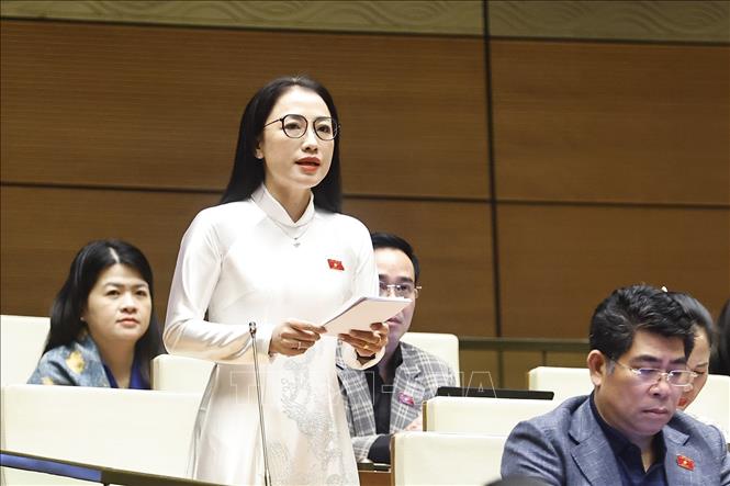 Đại biểu Quốc hội tỉnh Hưng Yên Trần Khánh Thu phát biểu. Ảnh: Doãn Tấn - TTXVN