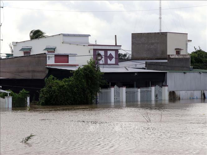 Nhiều địa phương ở xã Ninh Phước bị cô lập do mưa lũ sáng 20/11. Ảnh: Công Thử - TTXVN
