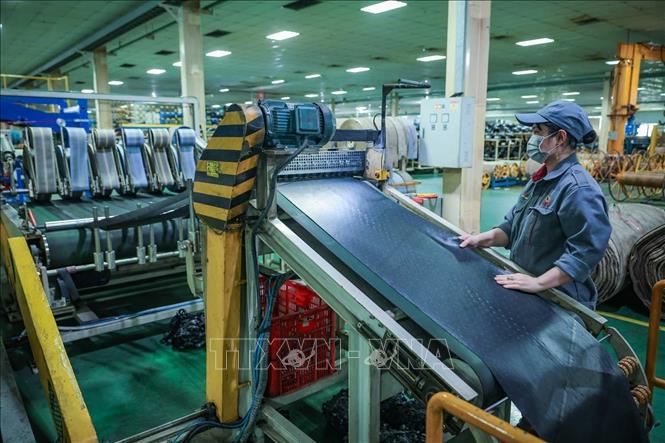 Dây chuyền cắt vải bọc gót bán thép. Ảnh: Hoàng Hiếu - TTXVN