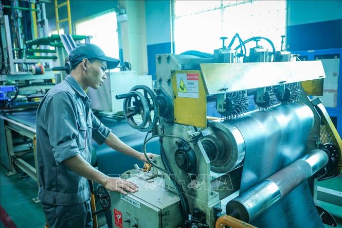 Công ty đầu tư nhiều máy móc giúp tăng năng suất, chất lượng sản phẩm. Ảnh: Hoàng Hiếu - TTXVN