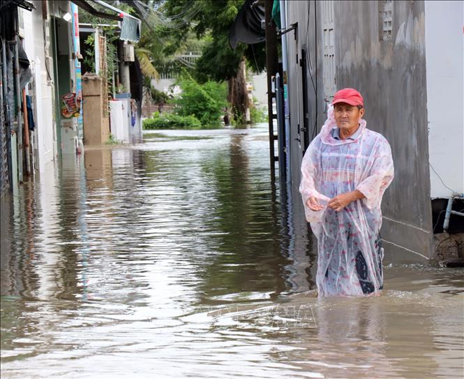 Nhiều nhà dân ở xã Phước Dinh bị ngập sâu do lũ xảy ra sáng 20/11. Ảnh: Công Thử - TTXVN