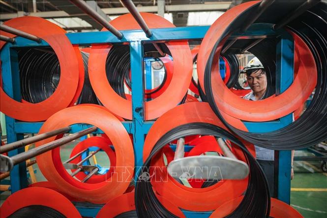 Công đoạn lưu trữ vòng tanh trên xe chứa chuyên dụng (có lót tâm nhựa để tránh dính tạp chất). Ảnh: Hoàng Hiếu - TTXVN