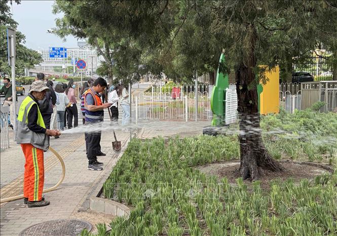 Tại các bãi đất trống luôn được trồng cây xanh, cây hoa để phủ xanh thành phố, đồng thời giảm thiểu tình trạng bụi đất bay lên không trung. Ảnh: Công Tuyên - PV TTXVN tại Trung Quốc