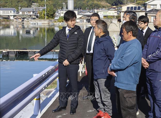 Bộ trưởng Nông nghiệp, Lâm nghiệp và Ngư nghiệp Nhật Bản Norikazu Suzuki (trái) khảo sát một trang trại nuôi hàu ở thành phố Higashihiroshima, tỉnh Hiroshima để đánh giá thiệt hại. Ảnh: Kyodo/TTXVN