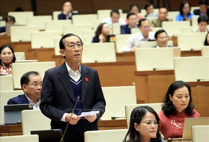 Đại biểu Quốc hội Thành phố hồ Chí Minh Trần Hoàng Ngân phát biểu. Ảnh: Tuấn Anh - TTXVN