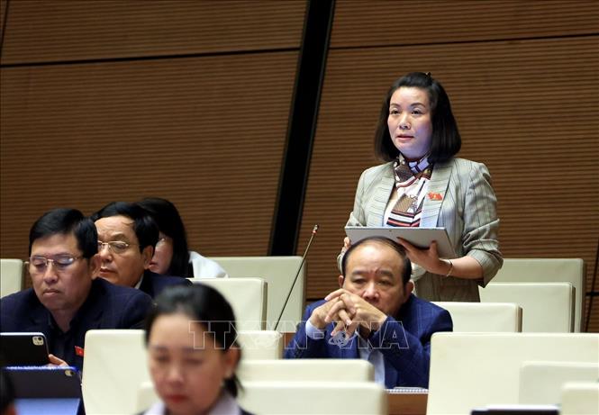 Đại biểu Quốc hội tỉnh Quảng Trị Nguyễn Minh Tâm phát biểu. Ảnh: Tuấn Anh - TTXVN