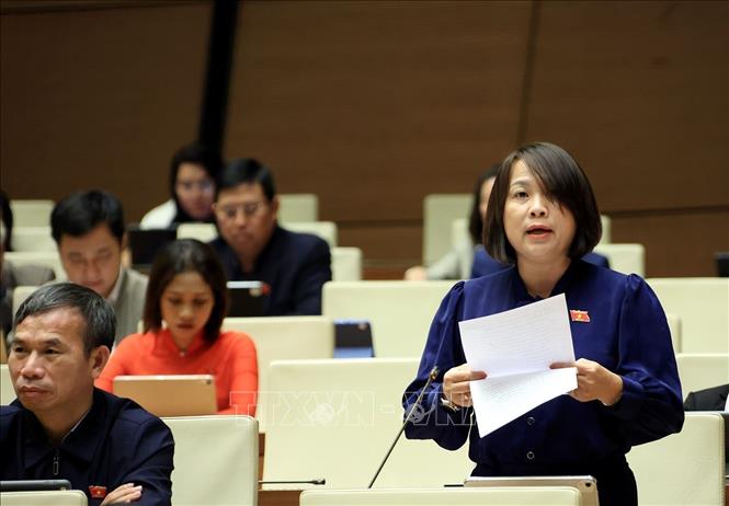 Đại biểu Quốc hội tỉnh Gia Lai Nguyễn Thị Thu Thuỷ phát biểu. Ảnh: Tuấn Anh - TTXVN