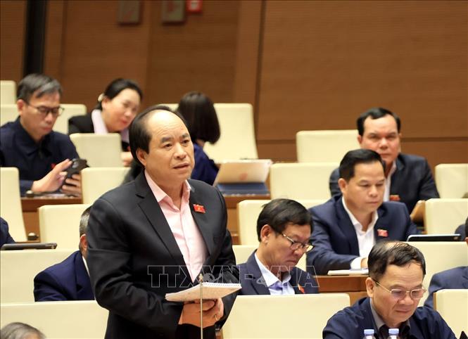 Đại biểu Quốc hội Thành phố Hà Nội Trương Xuân Cừ phát biểu. Ảnh: Tuấn Anh - TTXVN