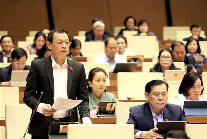 Đại biểu Quốc hội Thành phố Hồ Chí Minh Nguyễn Tri Thức phát biểu. Ảnh: Tuấn Anh - TTXVN