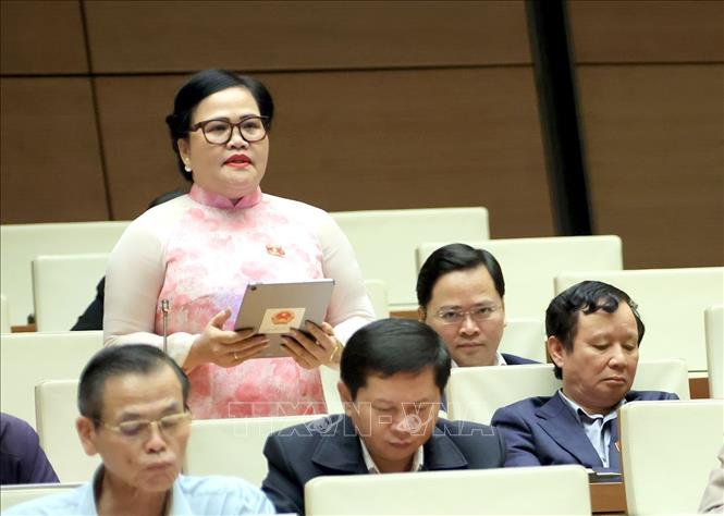 Đại biểu Quốc hội thành phố Huế Nguyễn Thị Sửu phát biểu. Ảnh: Tuấn Anh - TTXVN