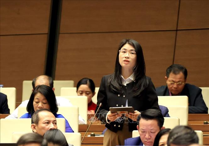 Đại biểu Quốc hội thành phố Hải Phòng Đinh Thị Ngọc Dung phát biểu. Ảnh: Tuấn Anh - TTXVN