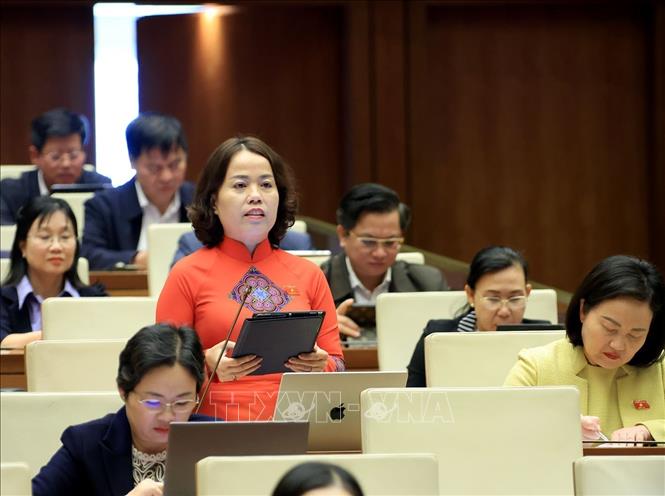 Đại biểu Quốc hội tỉnh Tuyên Quang Lý Thị Lan phát biểu. Ảnh: Tuấn Anh - TTXVN