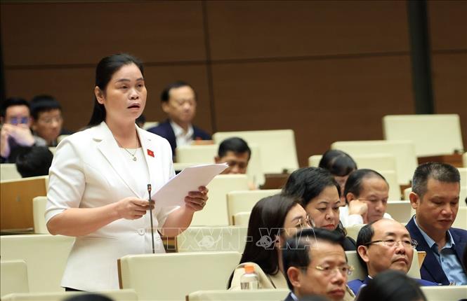 Đại biểu Quốc hội tỉnh Tuyên Quang Ma Thị Thuý phát biểu. Ảnh: Tuấn Anh - TTXVN