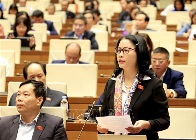 Đại biểu Quốc hội Thành phố Hà Nội Nguyễn Thị Lan phát biểu. Ảnh: Tuấn Anh - TTXVN