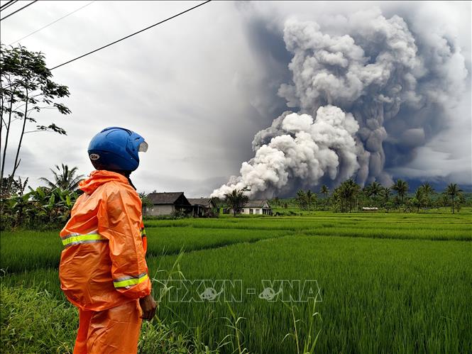 Tro bụi phun lên từ núi lửa Semeru ở Lumajang, Đông Java, Indonesia, ngày 19/11/2025. Ảnh: THX/TTXVN