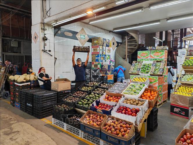 Quầy bán hoa quả tại chợ Central de Abasto ở thủ đô Mexico City, một trong những trung tâm cung ứng lớn cho xuất khẩu sang thị trường Mỹ. Ảnh: Phương Lan - PV TTXVN tại Mexico 