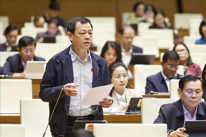 Đại biểu Quốc hội TP Hồ Chí Minh Nguyễn Tri Thức phát biểu. Ảnh: Doãn Tấn - TTXVN