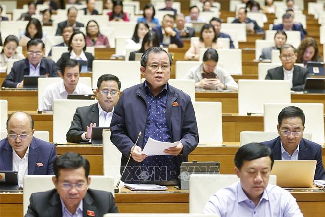 Đại biểu Quốc hội TP Hồ Chí Minh Nguyễn Tâm Hùng phát biểu. Ảnh: Doãn Tấn - TTXVN