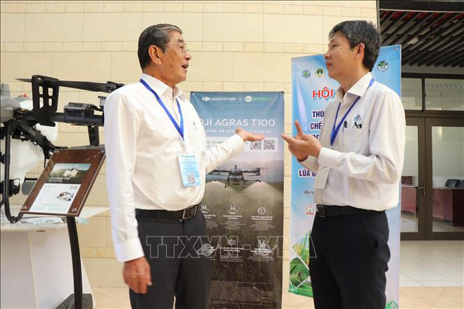 Anh hùng Lao động Hồ Quang Cua (trái) chia sẻ với Phó Giáo sư, Tiến sĩ Lê Văn Vàng, Hiệu trưởng trường Nông nghiệp (Đại học Cần Thơ) về ứng dụng chế phẩm vi sinh vào quy trình canh tác lúa ST25 an toàn. Ảnh: Thu Hiền - TTXVN