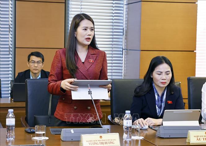 Đại biểu Quốc hội tỉnh Tuyên Quang Vương Thị Hương phát biểu. Ảnh: Doãn Tấn - TTXVN