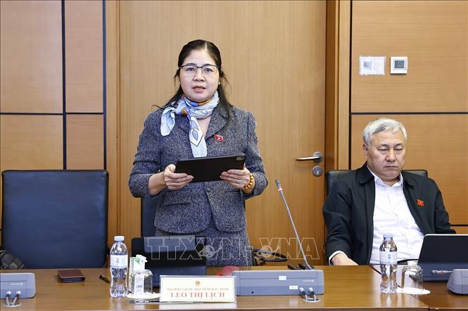 Đại biểu Quốc hội tỉnh Bắc Ninh Leo Thị Lịch phát biểu. Ảnh: Doãn Tấn - TTXVN