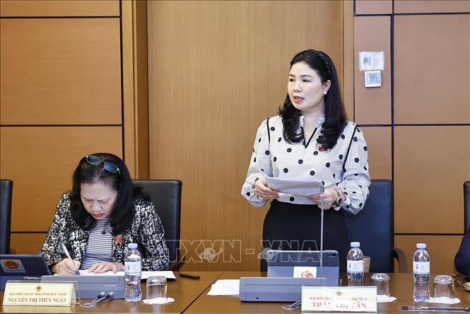 Đại biểu Quốc hội tỉnh Bắc Ninh Trần Thị Vân phát biểu. Ảnh: Doãn Tấn - TTXVN