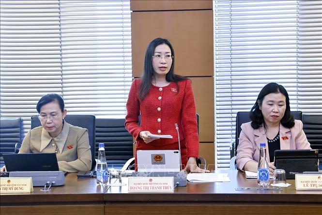 Đại biểu Quốc hội tỉnh Tây Ninh Hoàng Thị Thanh Thúy phát biểu. Ảnh: Doãn Tấn - TTXVN