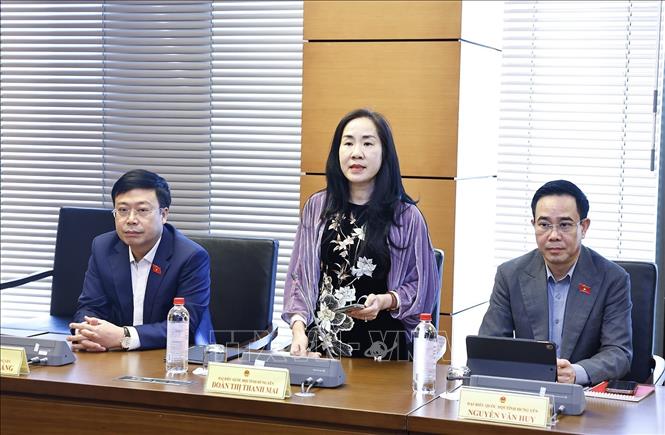 Đại biểu Quốc hội tỉnh Hưng Yên Đoàn Thị Thanh Mai phát biểu. Ảnh: Doãn Tấn - TTXVN