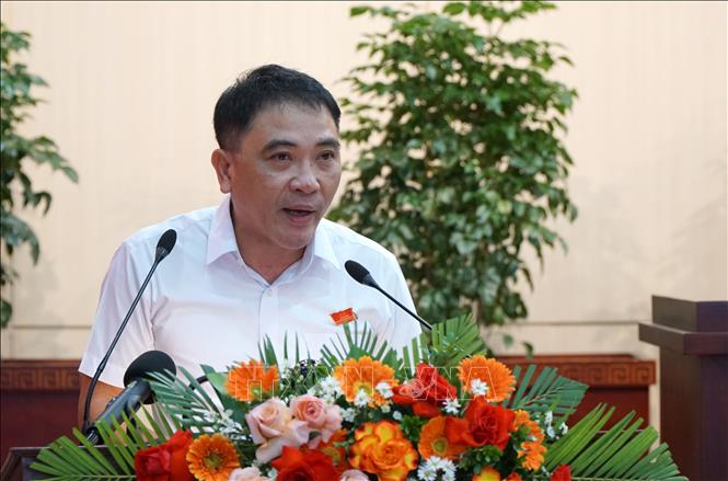 Trưởng Ban Pháp chế HĐND thành phố Đà Nẵng Lương Công Tuấn phát biểu tham luận tại Tọa đàm. Ảnh: Quốc Dũng - TTXVN