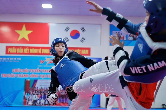 Hiện tại, các tuyển thủ đang duy trì thể trạng và phong độ tốt. Ảnh: Minh Quyết - TTXVN