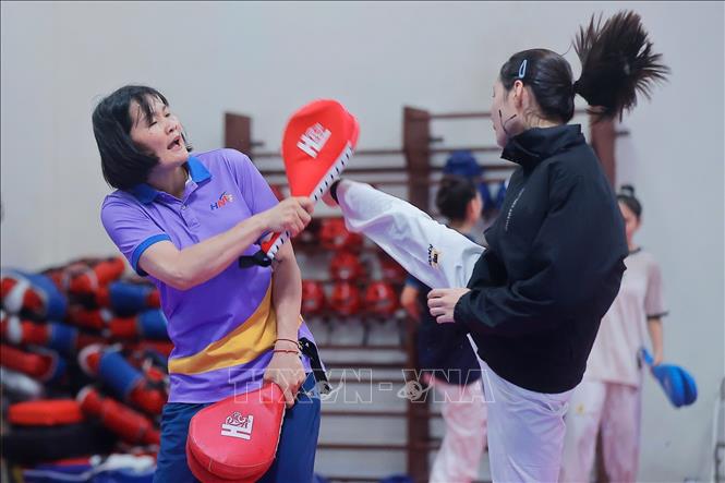 Đây là thời điểm mà các thành viên của nội dung đối kháng Taewondo phải có sự tập trung cao nhất để chuẩn bị cho SEA Games 33 tới đây. Ảnh: Minh Quyết – TTXVN
