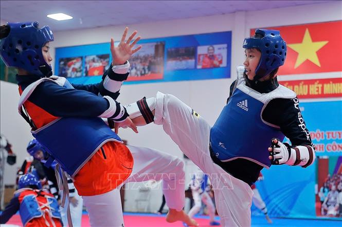 Các VĐV đội tuyển đối kháng Taewondo quốc gia nỗ lực tập luyện chuẩn bị cho SEA Games 33 sắp tới. Ảnh: Minh Quyết - TTXVN
