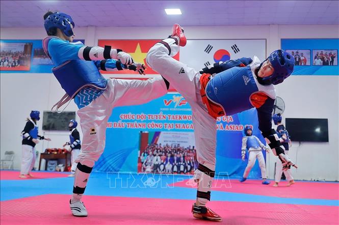 Đội tuyển Taekwondo Việt Nam đang tăng cường tập luyện để chuẩn bị cho SEA Games 33 tại Thái Lan. Ảnh: Minh Quyết – TTXVN