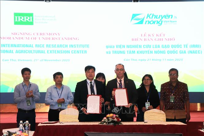 Đại diện Trung tâm Khuyến nông quốc gia và đại diện Viện Nghiên cứu Lúa quốc tế tại Việt Nam ký biên bản ghi nhớ thực hiện canh tác lúa chất lượng cao, phát thải thấp. Ảnh: Thu Hiền – TTXVN