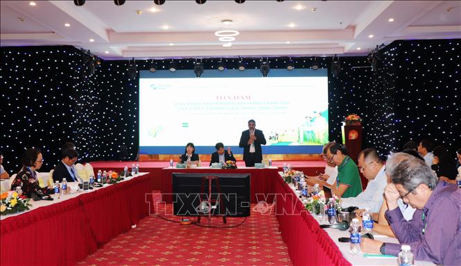 Quang cảnh tọa đàm. Ảnh: Thu Hiền – TTXVN