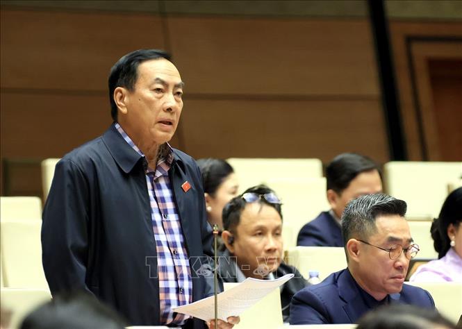 Đại biểu Quốc hội tỉnh Đồng Tháp Phạm Văn Hoà phát biểu. Ảnh: Tuấn Anh - TTXVN