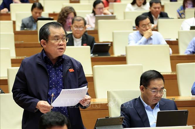 Đại biểu Quốc hội Thành phố Hồ Chí Minh Nguyễn Tâm Hùng phát biểu. Ảnh: Tuấn Anh - TTXVN