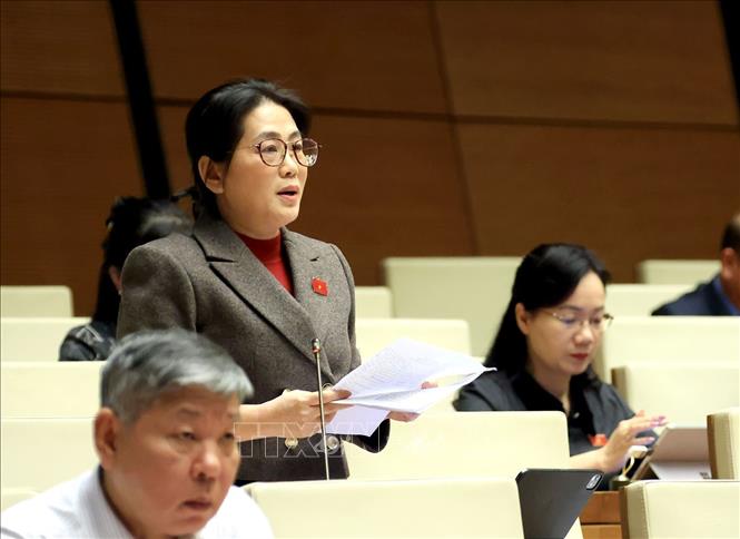 Đại biểu Quốc hội tỉnh Hà Tĩnh Phan Thị Nguyệt Thu phát biểu. Ảnh: Tuấn Anh - TTXVN